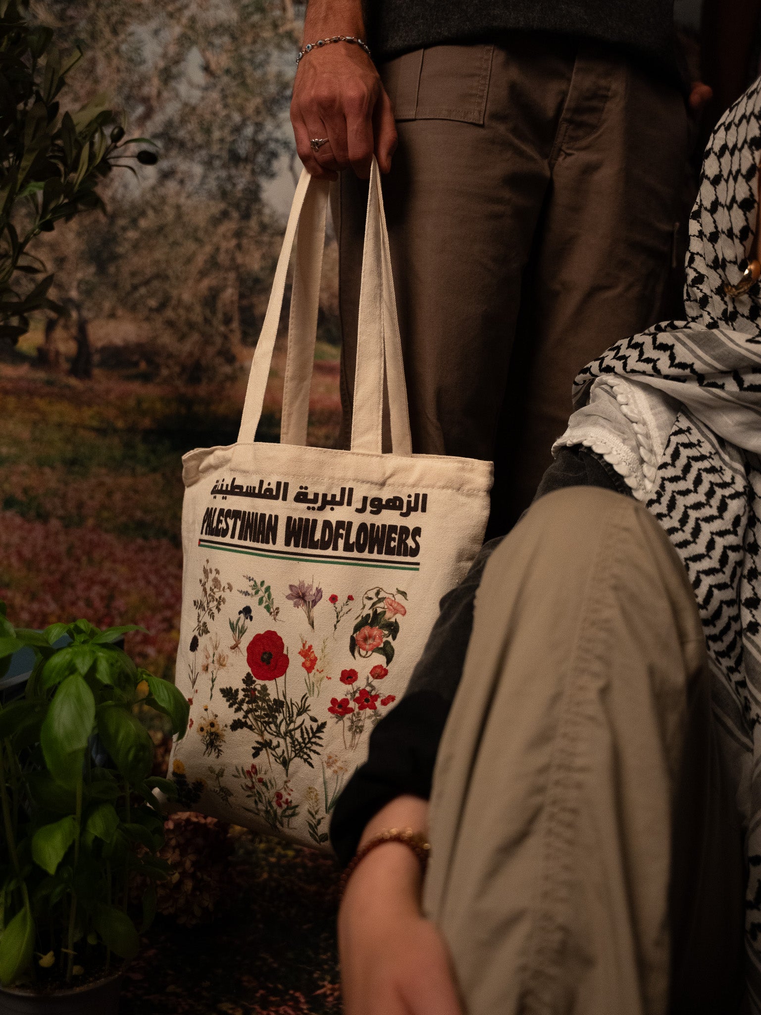 Palestinian Wildflowers